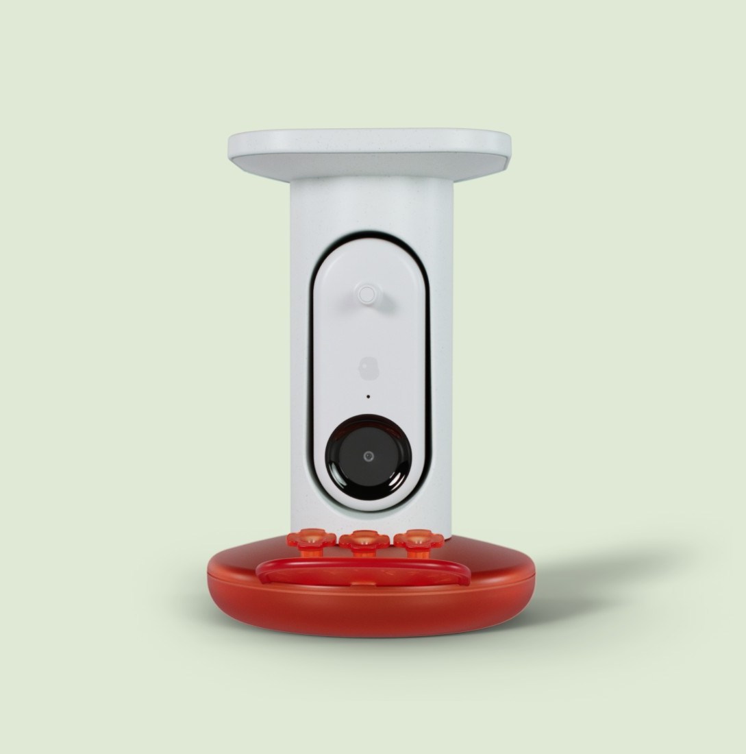 Kuşları tanımak, gözlemlemek, doğayla bağ kurmak artık çok kolay