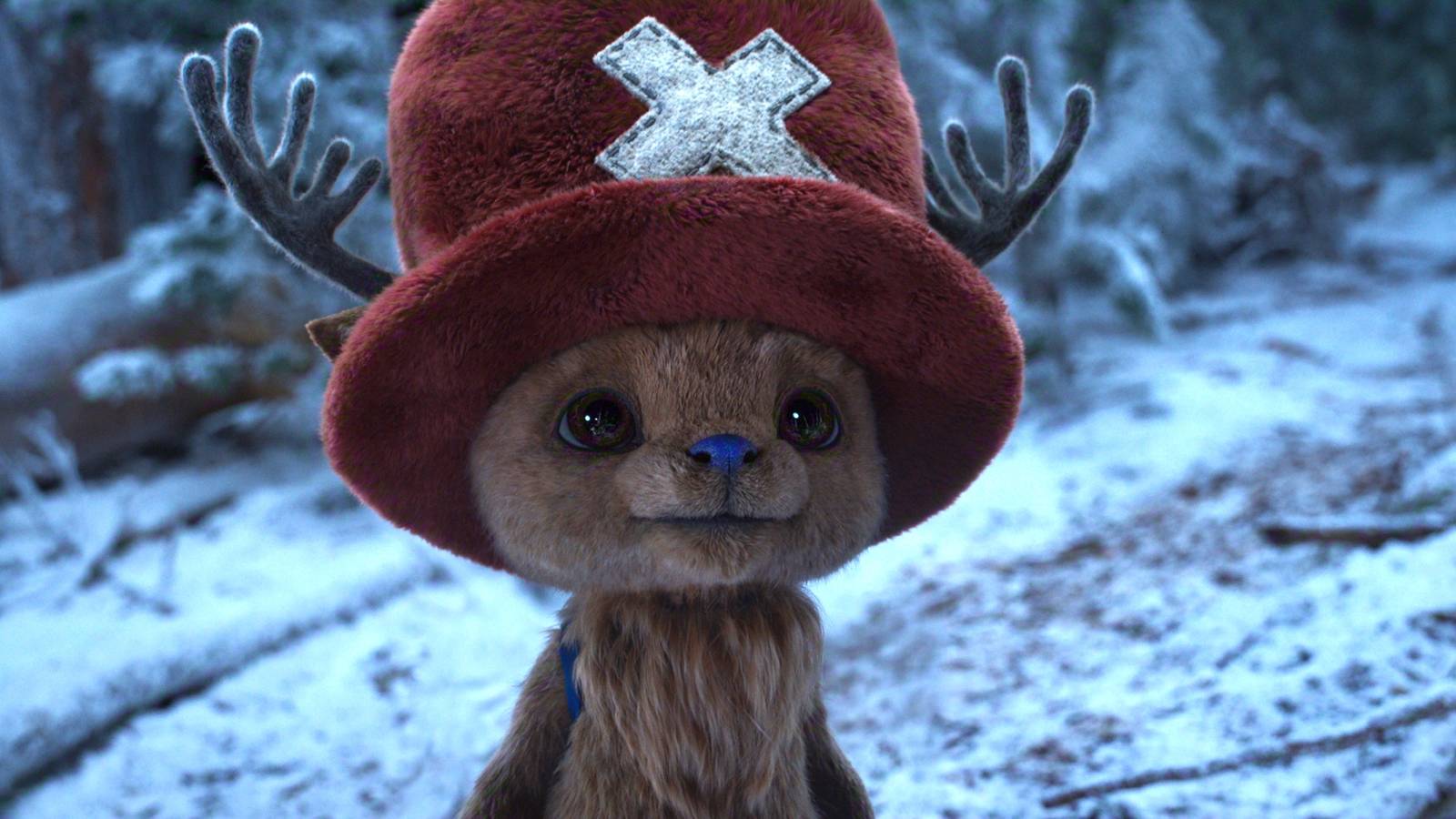 Küçük kayıp, büyük acı, umut filizleniyor