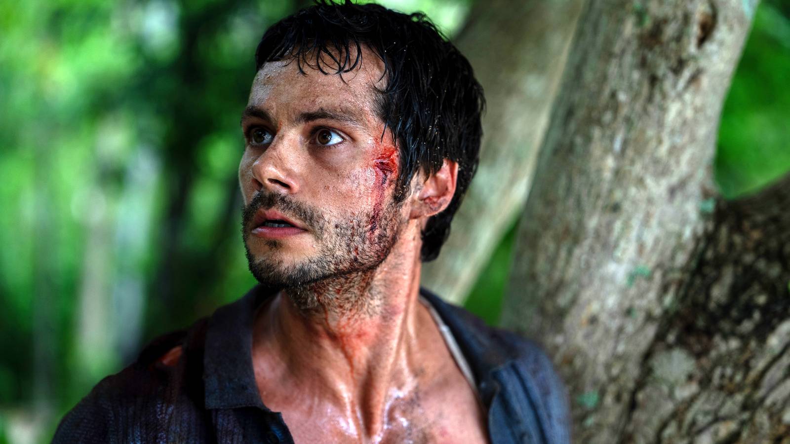 Korku dolu anlar evlere konuk oluyor, gerilim doruktaydı!