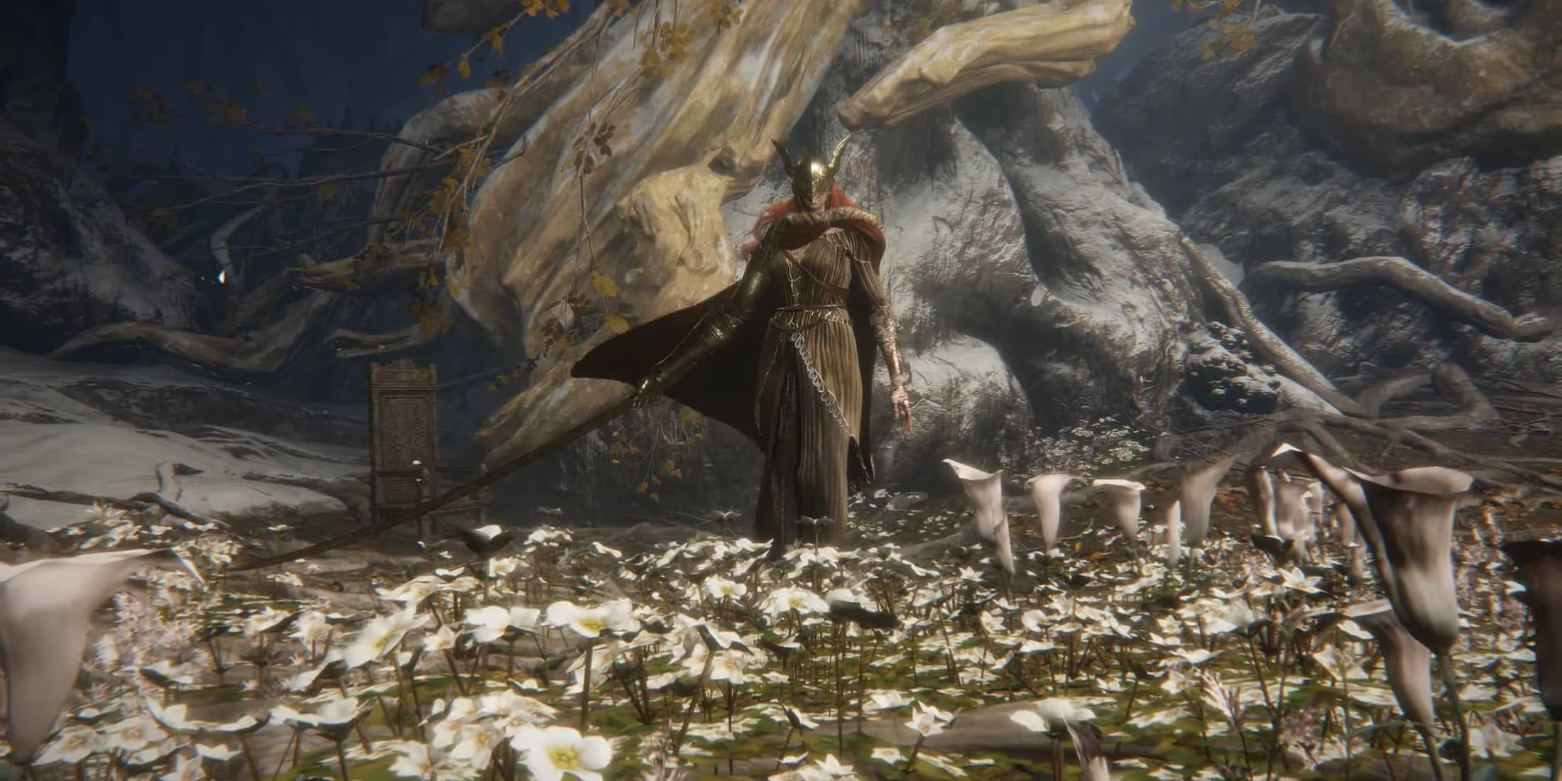 Bekleyiş sonlandırdı, efsanevi macera Switch 2'de!