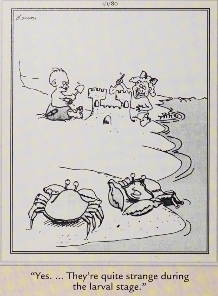 Absürt mizahın tohumları atılmış, zamansız bir başlangıç