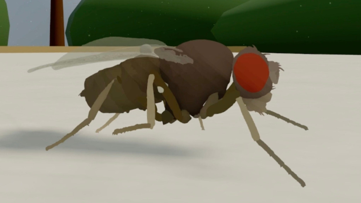 Sanal beyin canlandı, nörobilimde devrim mi başlıyor?