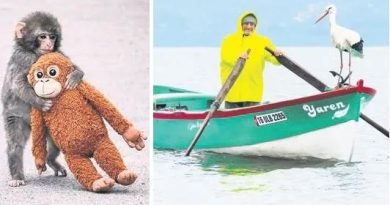 Leylek umut getirir, haberler yürekleri burkar