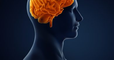 Zihinsel yolculuk, bedenle uyum, duygularla yüzleşme