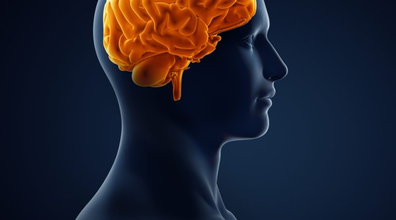 Zihinsel yolculuk, bedenle uyum, duygularla yüzleşme