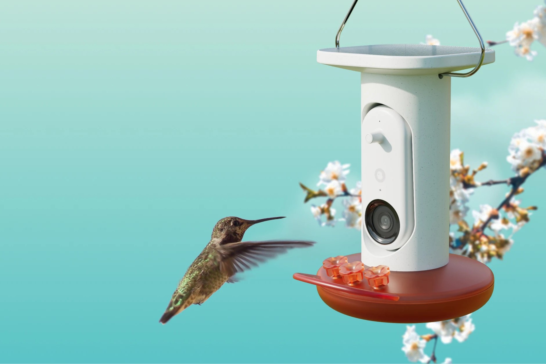 Doğada akıllı gözlem, kuş dostu teknolojiyle mümkün!