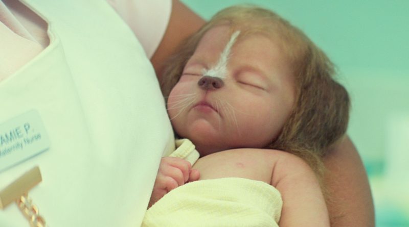 Masumiyet, umut ve hayatta kalma mücadelesi