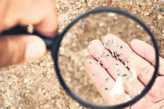 Akıllı tasmalarla sürü yönetimi, maliyetleri azaltır, verimliliği artırır