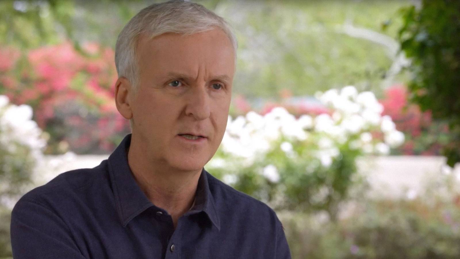 Oscar heyecanı: Zafer, gişe rekabeti, sürpriz sonuçlar!