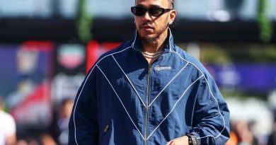 İnek Max ile Lewis'ten beklenmedik sevimli anlar!