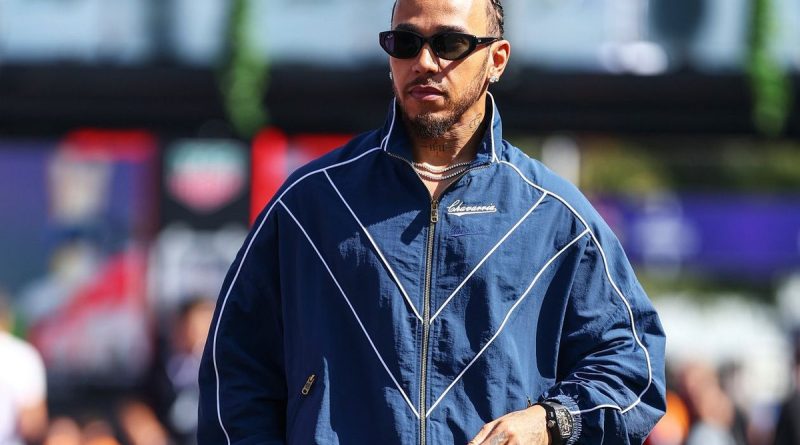 İnek Max ile Lewis'ten beklenmedik sevimli anlar!