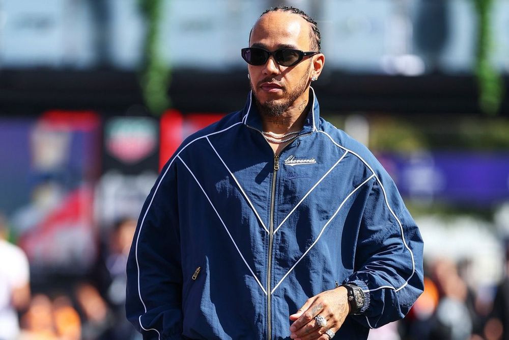 İnek Max ile Lewis, beklenmedik ama sevimli bir birliktelik!