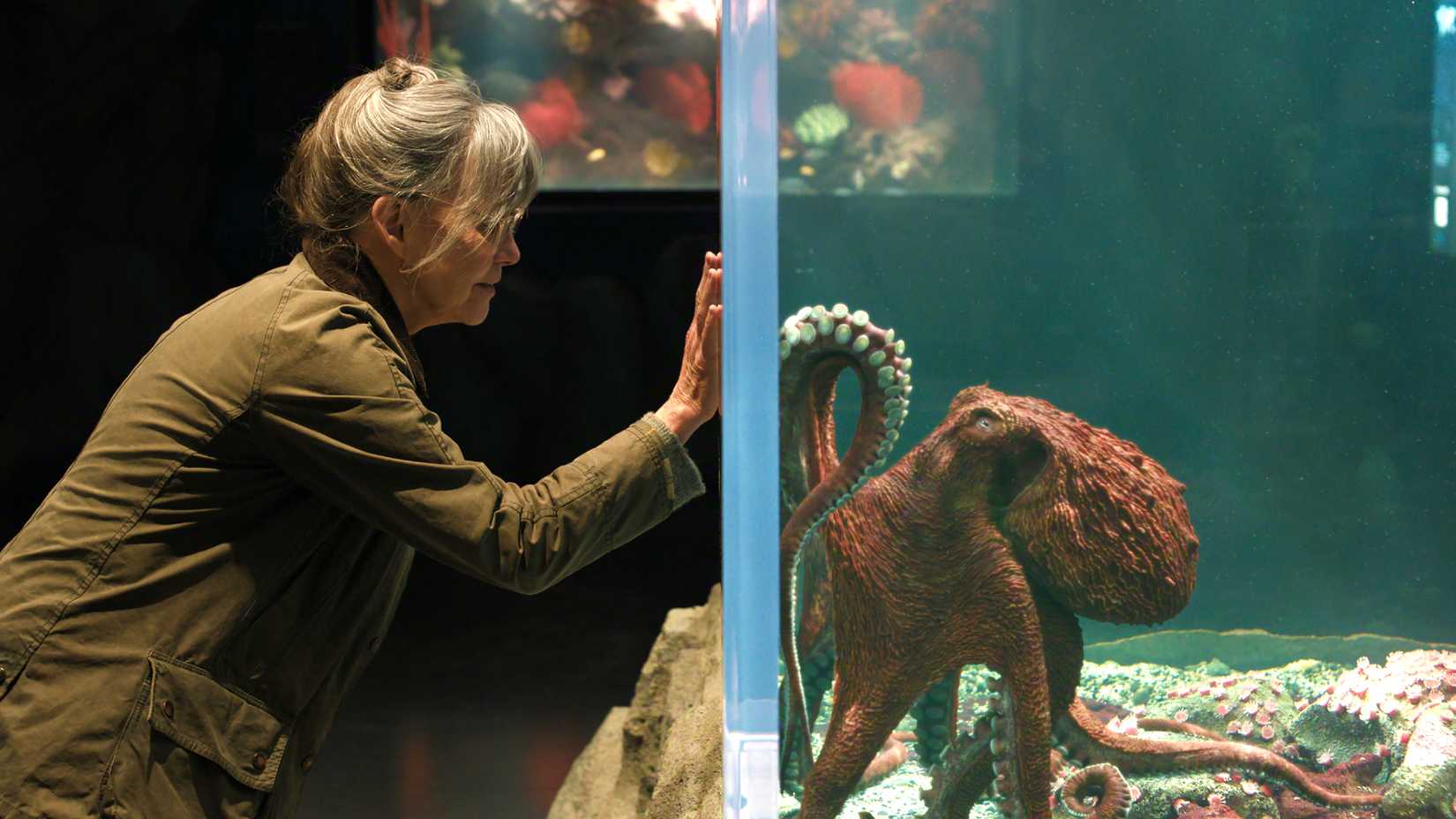 Gizemli dünya, beklenmedik karakterler, büyüleyici hikaye