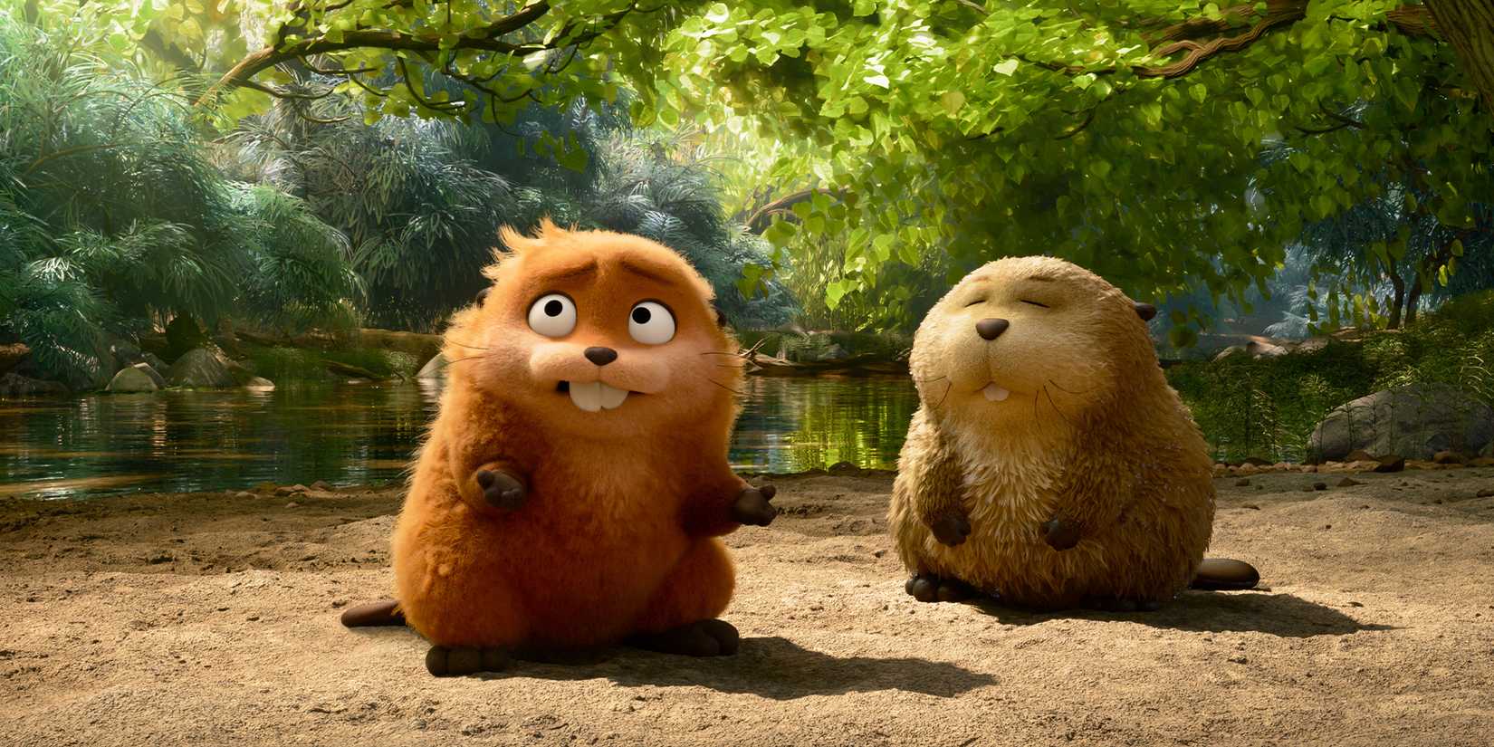 Sessiz şehir, gizemli ritimler, kalpleri ısıtan bir hikaye