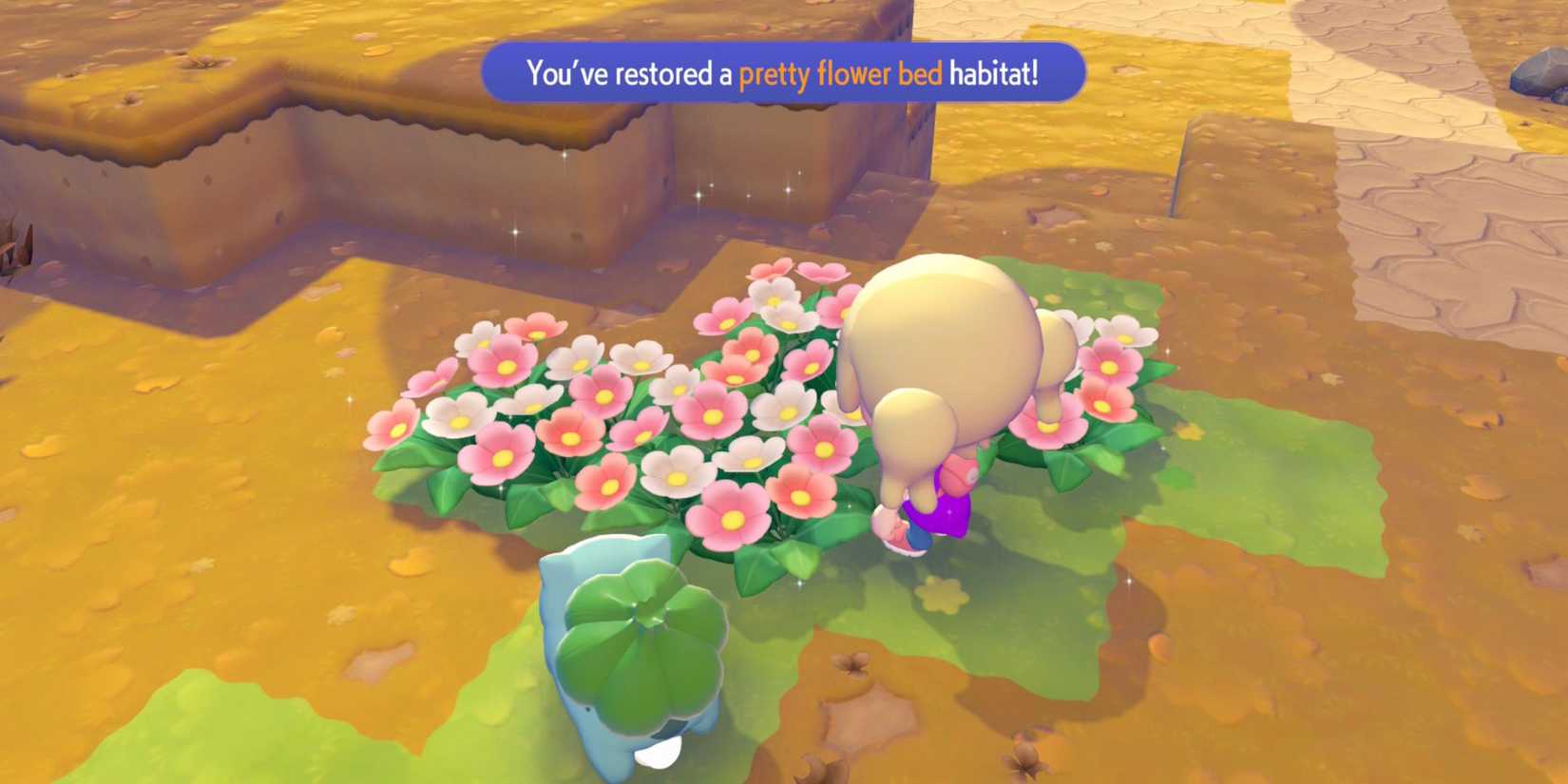 Ditto'nun yolculuğu, Pokémon dünyasında yeni bir başlangıç