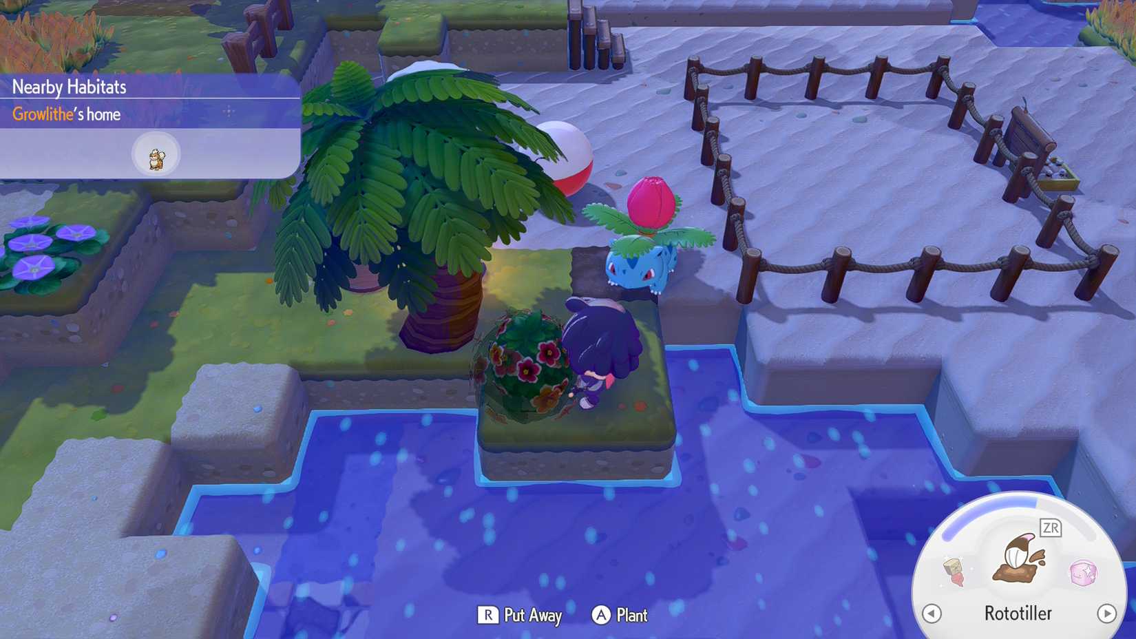 Tropikal cennet için hazırlık, deniz canlıları çağırıyor!