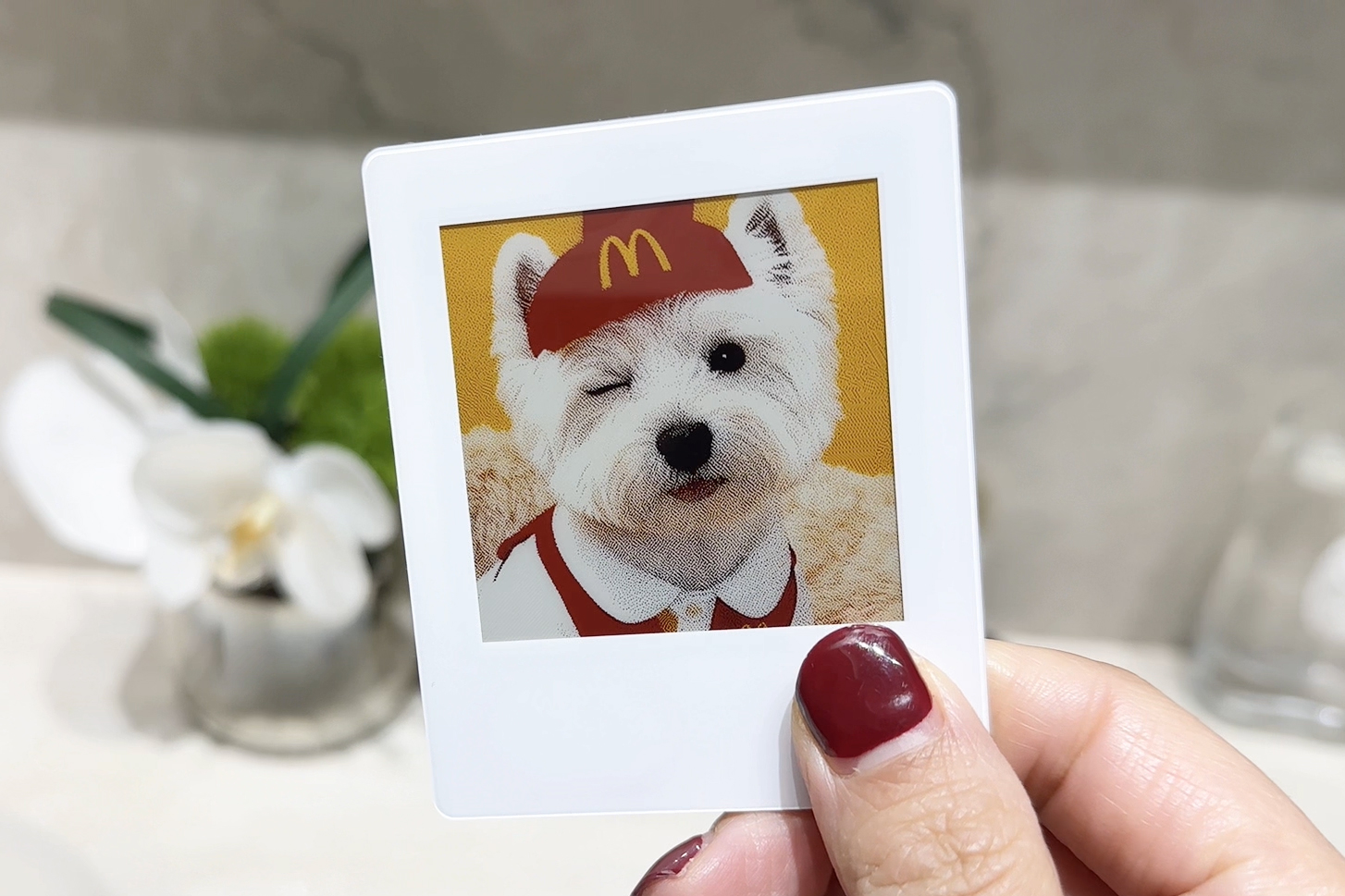 Anılar anında, manyetik yüzeyde canlanıyor!