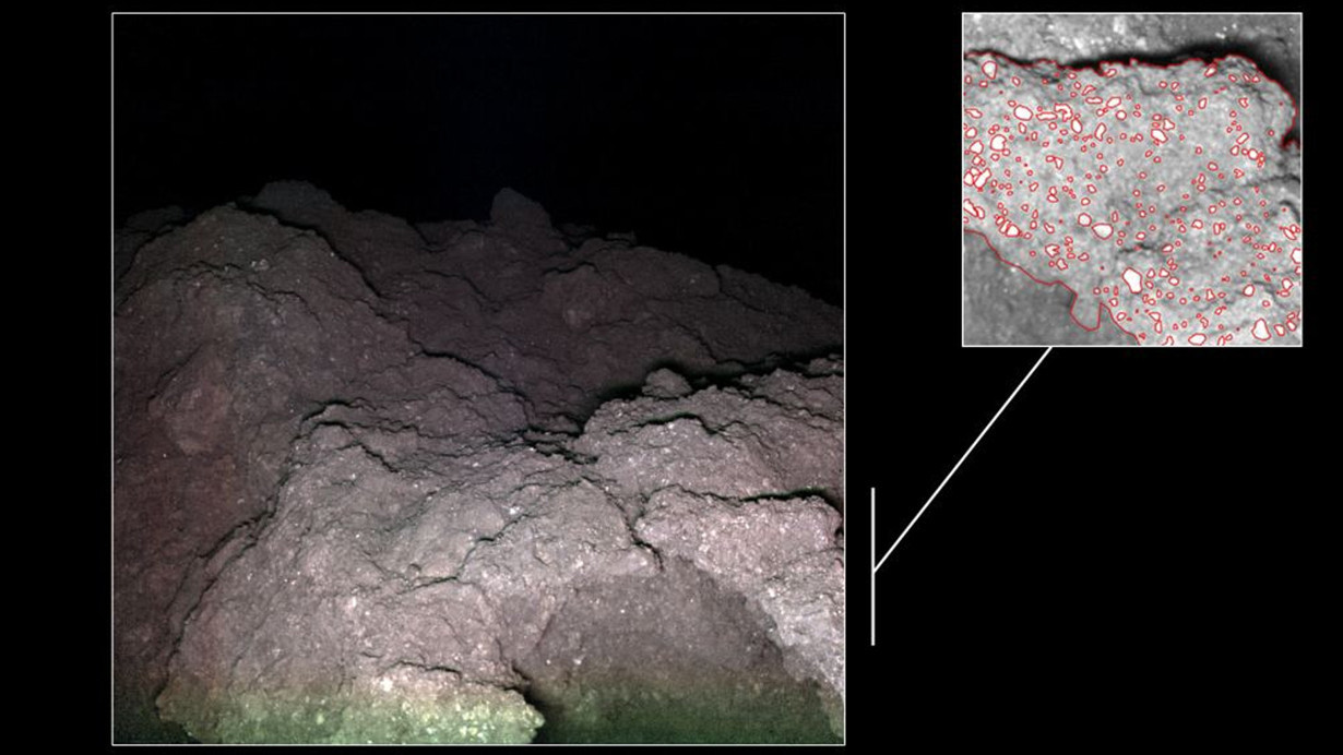 Uzayın derinliklerinden yaşamın tohumları dünyaya geldi