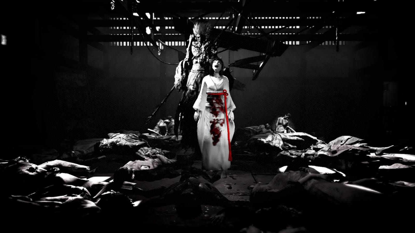 Karanlık fotoğraflar, ürkütücü hikaye, yeni bir korku deneyimi