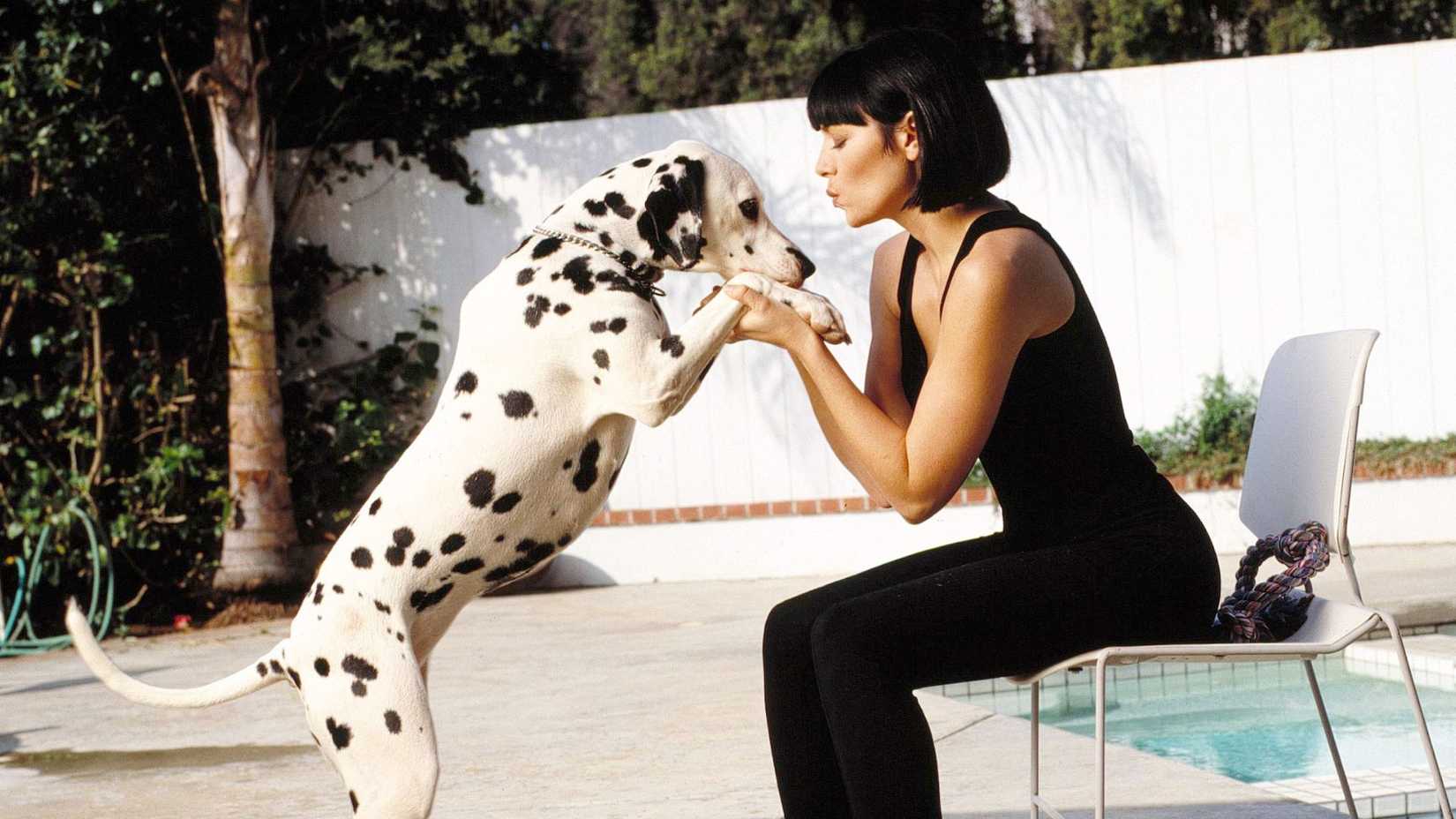 Evrenin derinliklerinde yankılanan kısa soluklu hikayeler