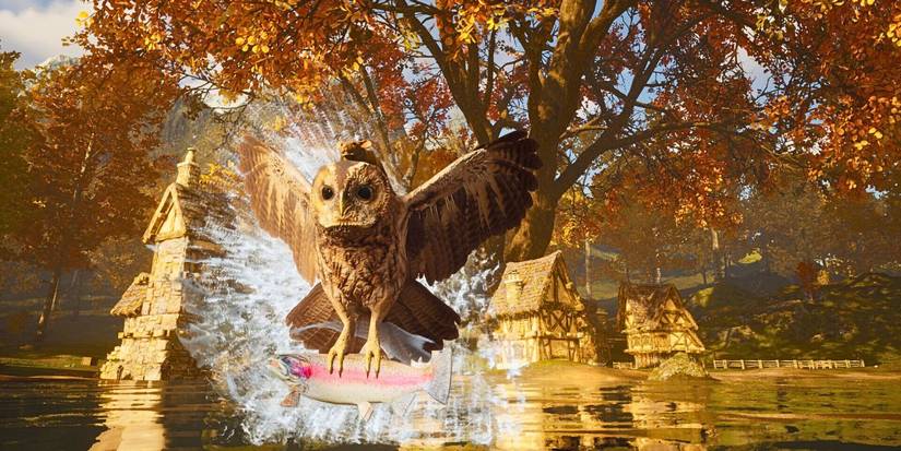 Keşfet, inşa et, büyüt ve hayatı Hawthorn'da yaşa