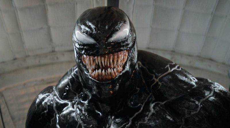 Yenilik, umut, yeniden başlama, örümcek ağı, yeni başlangıç