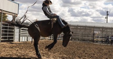 Yeni yüzler geldi, Sheridan suç dünyasına ışık tuttu