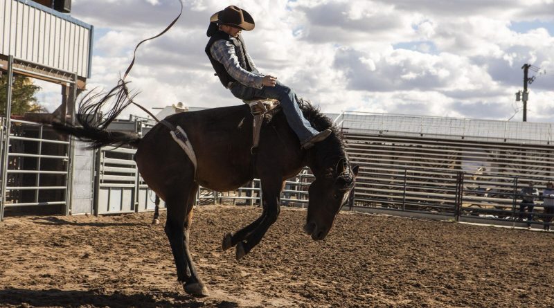 Yeni yüzler geldi, Sheridan suç dünyasına ışık tuttu