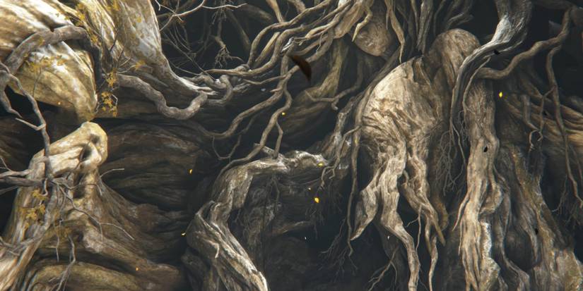 Miquella'nın gizemli dikilişi, geçmişten günümüze ışık tutuyor