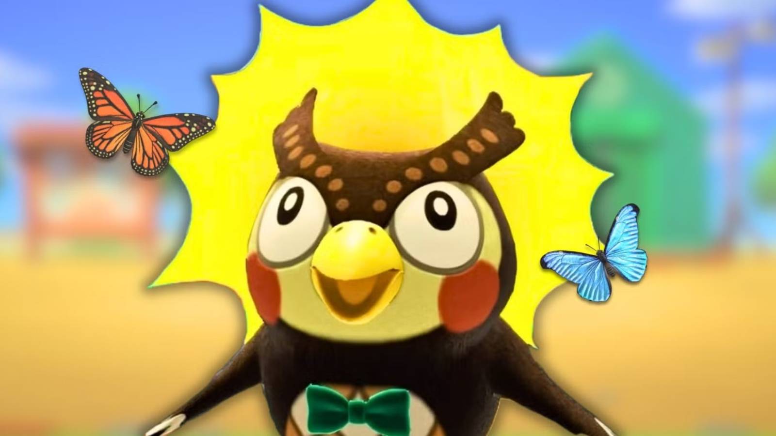 Köy hayatı şenlendi, güzelleşme zamanı!