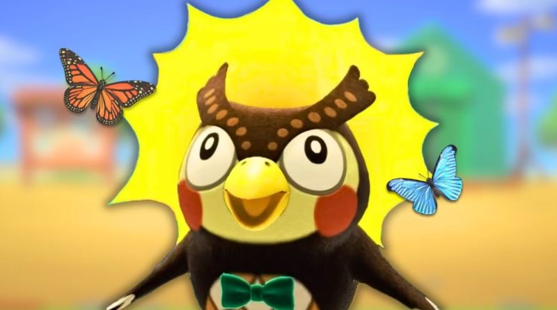 Köy hayatı şenlendi, güzellik köşesi geldi!