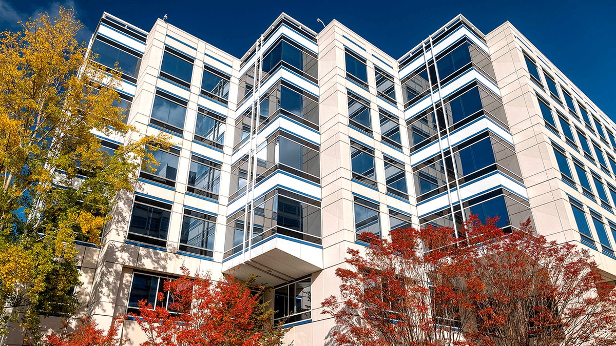 Yapay zeka büyüyor, ofisler enerji kaynağı oluyor