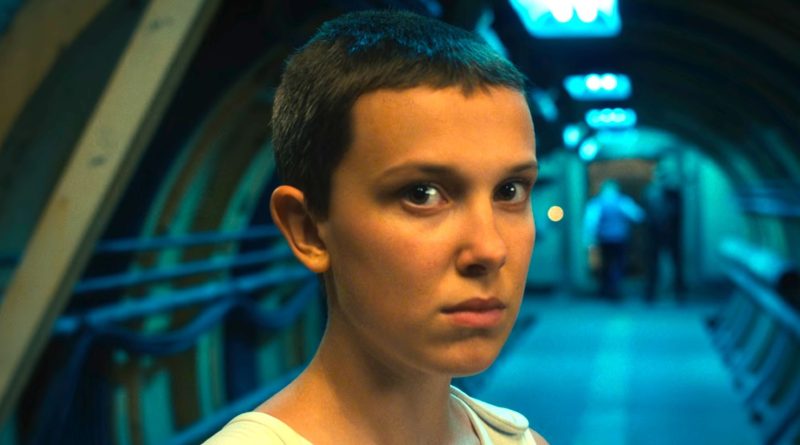 Hayatın renkleri, korsan rüzgarı, yeni macera başlıyor