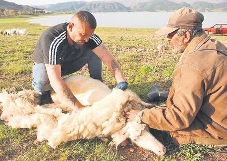 Yapay zeka onay arıyor, bağımlılık riskini artırıyor