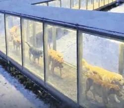 Vicdan daralttı, sessiz çığlıklar yükseldi, nehir kirlendi