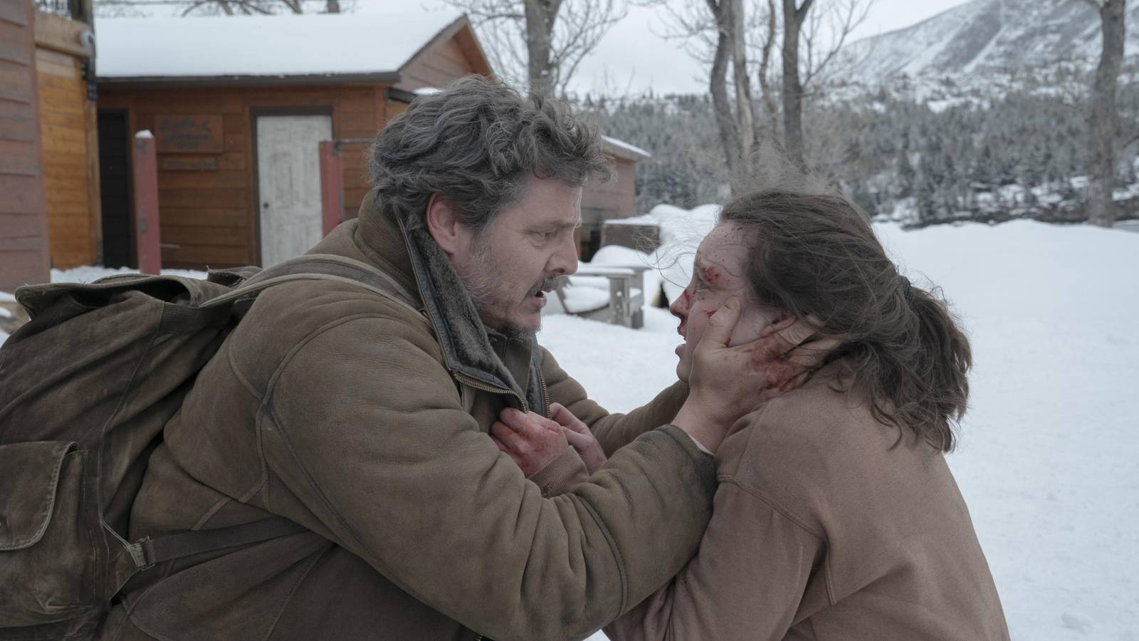 Yıkım sonrası umut, yeniden doğuş ve insanlık hikayesi