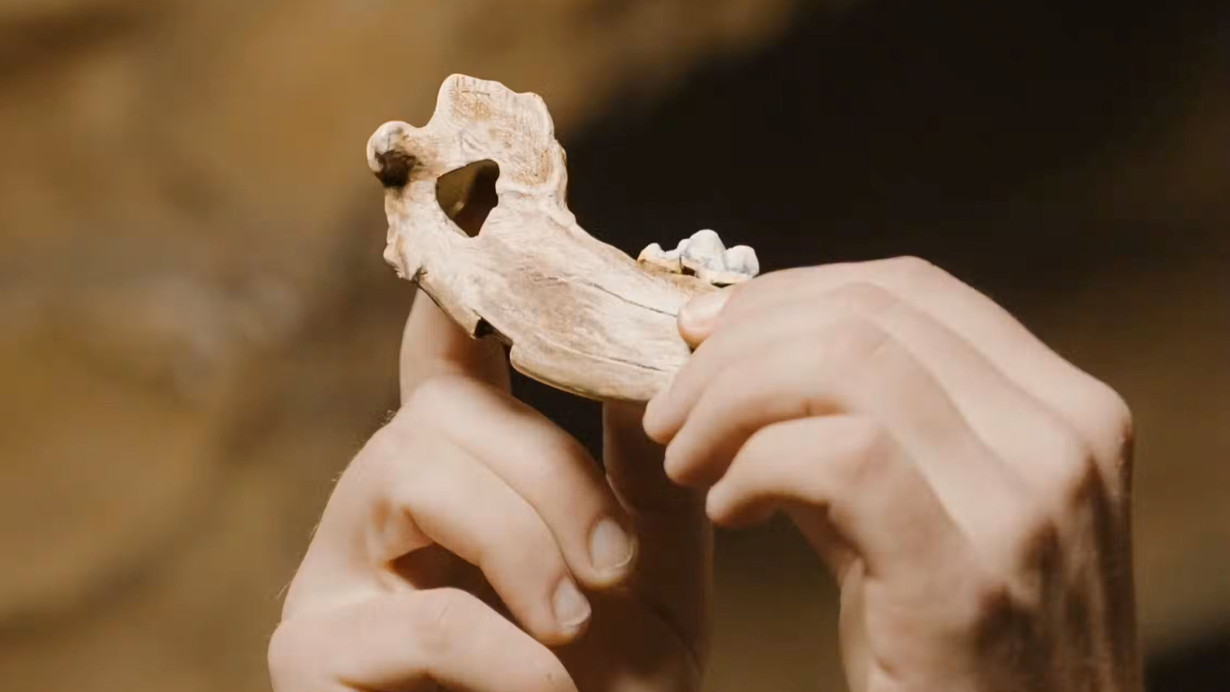 Binlerce yıllık dostluk izleri, Türkiye'de gün yüzüne çıktı