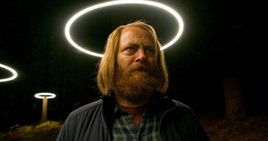 Kedi mi, kahraman mı? Bekle bakalım!