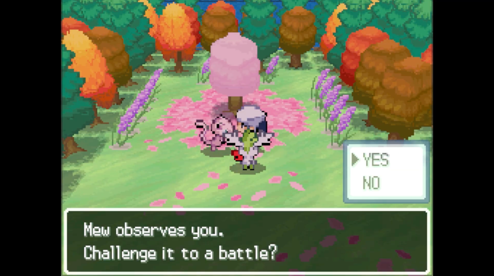 Johto'nun büyüsü geri döndü, yeni macera başlıyor!