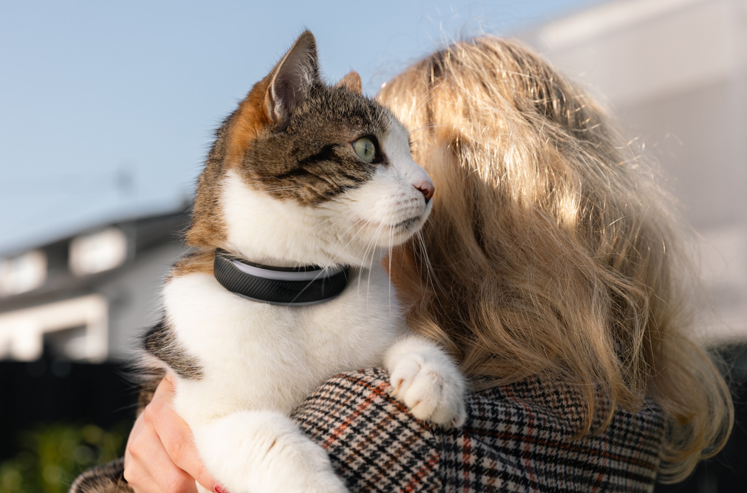 Minik dostlar için sağlık dolu bir takip deneyimi