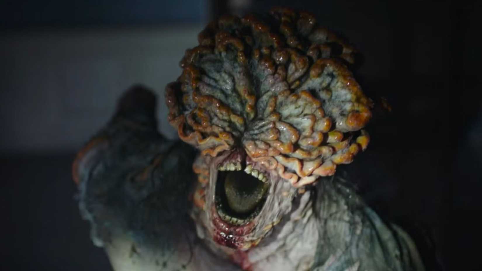 Yıkım sonrası umut, yeniden doğuş ve insanlık hikayesi